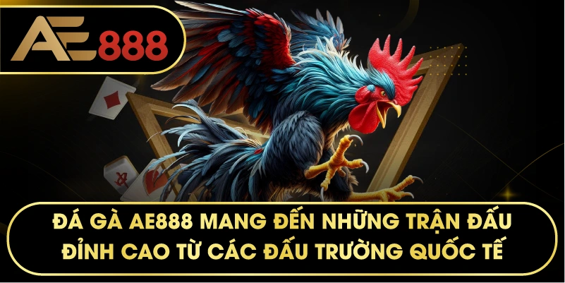 ĐÁ GÀ AE888 mang đến những trận đấu đỉnh cao từ các đấu trường quốc tế.