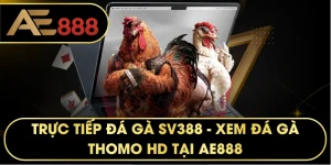 Trực Tiếp Đá Gà SV388 – Đấu Trường Đỉnh Cao Tại AE888