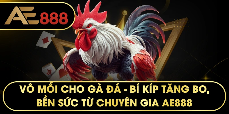 Vô mồi cho gà – Bí kíp giúp chiến kê tăng bo, bền sức tối đa